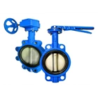 Butterfly Valve Cast Iron Seat EPDM Pn16 Lever Operated Dn50 5