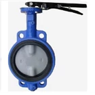 Butterfly Valve Cast Iron Seat EPDM Pn16 Lever Operated Dn50 1
