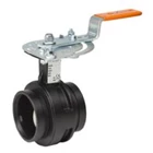 Victaulic Valve Product and Fitting Connection Grove 3