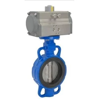 Butterfly Valve Seat PTFE Metal Seat