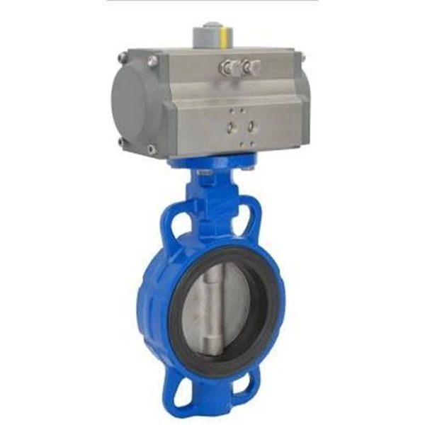 Butterfly Valve Seat PTFE Metal Seat